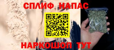 мяу мяу мука Гулькевичи