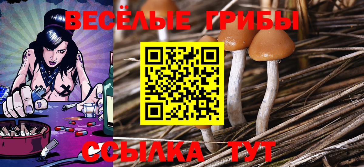 Псилоцибиновые грибы мухоморы Ковров